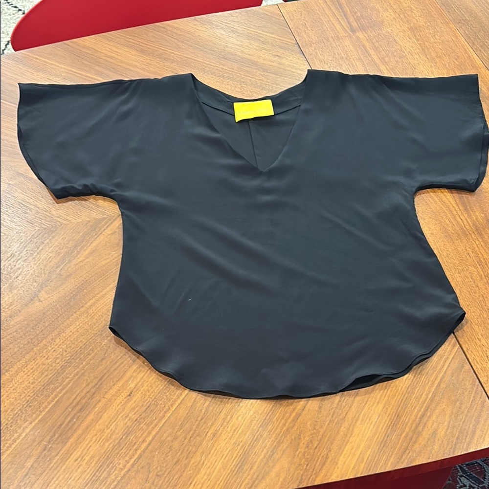 Aaron Ashe Black V-Neck Blouse